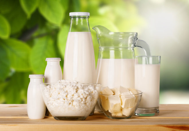 important nutrients dairy protein